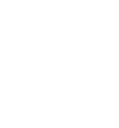 HSCRANE